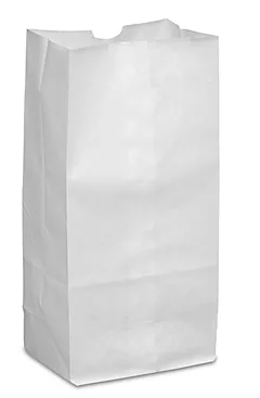 SACS PAPIER BLANC 10LBS 500/C