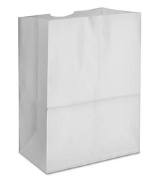 [793020] SACS PAPIER BLANC 20LBS 500/C